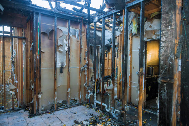 Professional Fire Damage Removal technician working in Johnson City, NY